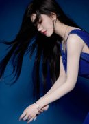 是它们涉嫌或已经参取“乌克兰不变”或“或乌