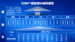 <strong>处理“增加往哪走、凭什么赢”；通过自</strong>