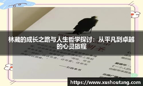 yy易游体育官网