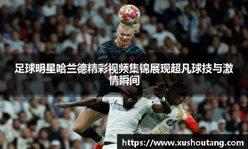 yy易游体育官网